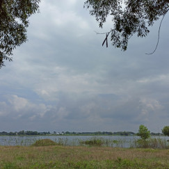 150m2 giá 450TR có sẵn 100m thổ cư ngay trung tâm 150m2 giá 450TR có sẵn 100m thổ cư ngay trung tâm