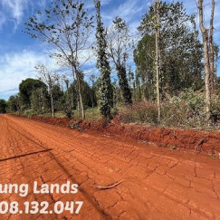 Bán 21m mặt tiền , 2000 m2 đất Suối Lúp- Bình Ba, Châu Đức,BRVT giá 4 tỷ. Trung 0908.132.047  Bán 21m mặt tiền , 2000 m2 đất Suối Lúp- Bình Ba, Châu Đức,BRVT giá 4 tỷ. Trung 0908.132.047