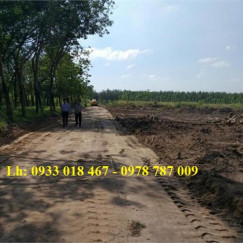 Cần Bán đất bàu bàng, bình dương 1000m2, chỉ 1,6tr/m2. 0933018467-0978787009 1.11 Cần Bán đất bàu bàng, bình dương 1000m2, chỉ 1,6tr/m2. 0933018467-0978787009 1.11