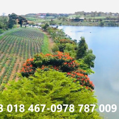 Cần bán đất view hồ dak long thượng xã lộc ngãi 500-1000m2 giá chỉ từ 1,8-3tr/m2.Gọi ngay 0933018467-0978787009-32 Cần bán đất view hồ dak long thượng xã lộc ngãi 500-1000m2 giá chỉ từ 1,8-3tr/m2.Gọi ngay 0933018467-0978787009-32