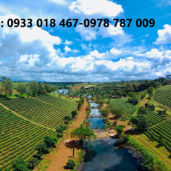 Cần bán đất view hồ dak long thượng xã lộc ngãi, bảo lâm 500-1000m2 giá chỉ từ 1,8-3tr/m2.Gọi ngay 0933018467-0978787009-33 Cần bán đất view hồ dak long thượng xã lộc ngãi, bảo lâm 500-1000m2 giá chỉ từ 1,8-3tr/m2.Gọi ngay 0933018467-0978787009-33