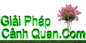 Tư Vấn Thiết Kế Sân Vườn Tư Vấn Thiết Kế Sân Vườn